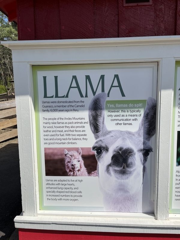 Llama Marker image. Click for full size.