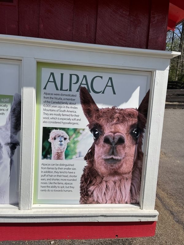 Alpaca Marker image. Click for full size.