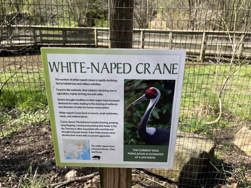 White-Naped Crane Marker image. Click for full size.