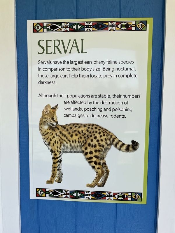 Serval Marker image. Click for full size.