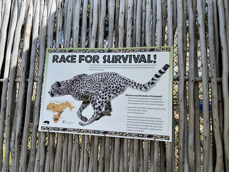 Race For Survival! Marker image. Click for full size.