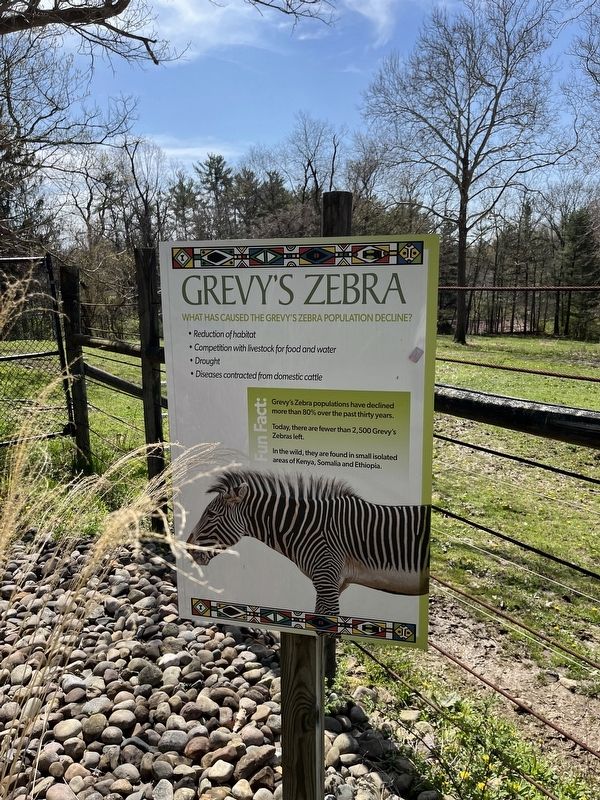 Grevy's Zebra Marker image. Click for full size.