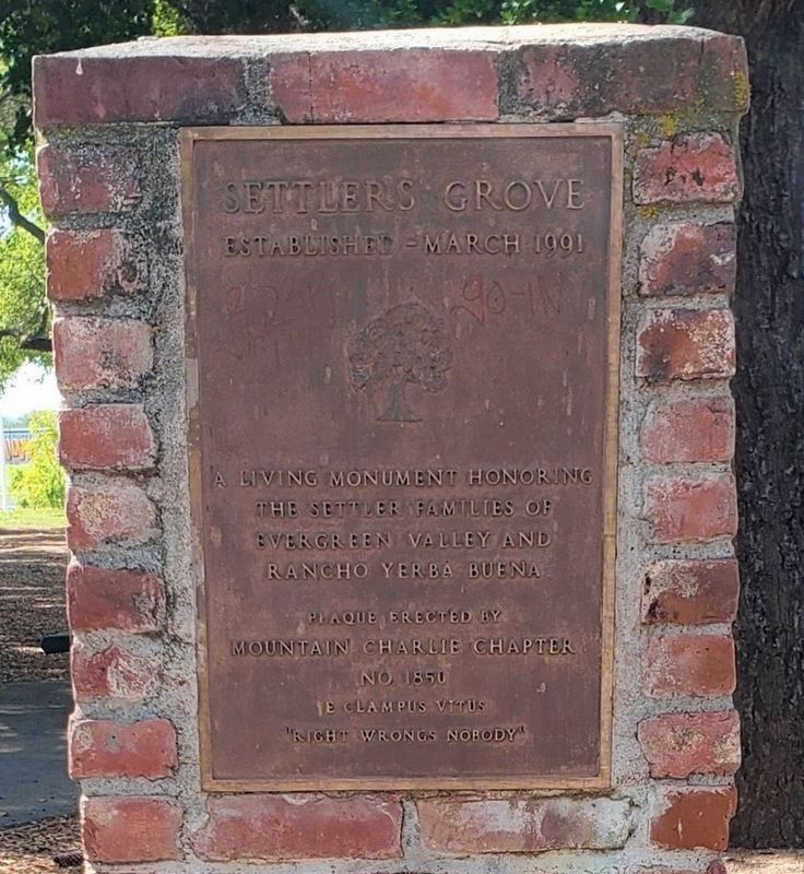 Settler’s Grove Marker. Click for full size. Settler’s Grove Marker image. Click for full size.