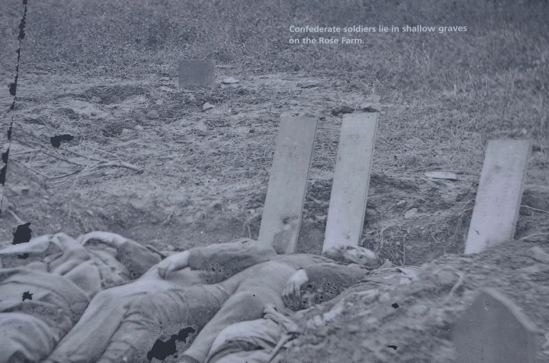 Closeup of Confederate Graves on the Rose Farm image. Click for full size.