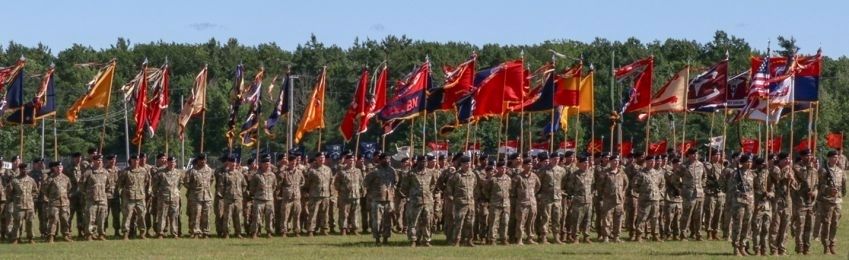 10th Mountain Division LI image. Click for more information.