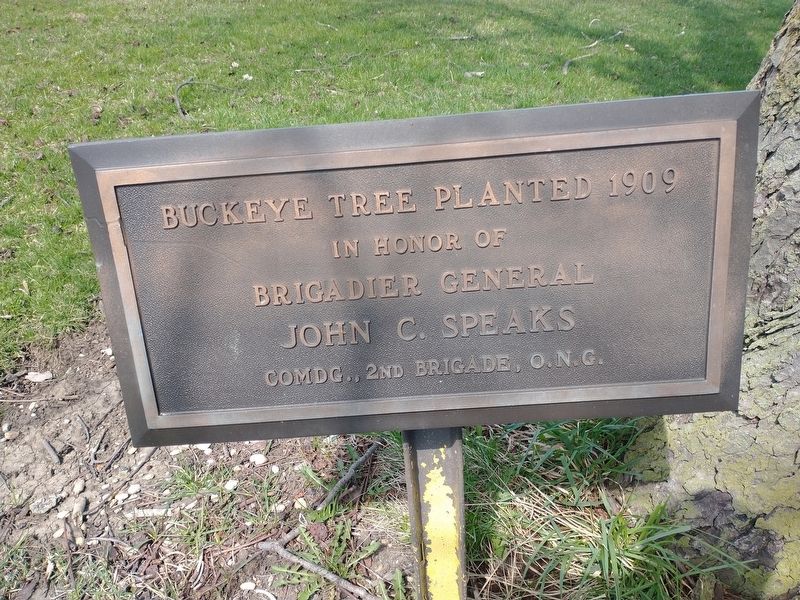 Buckeye Tree Planted 1909 Marker image. Click for full size.