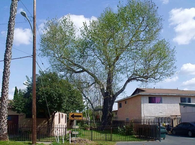 Pre-2015 Eagle Tree. Click for full size. Pre-2015 Eagle Tree image. Click for full size.
