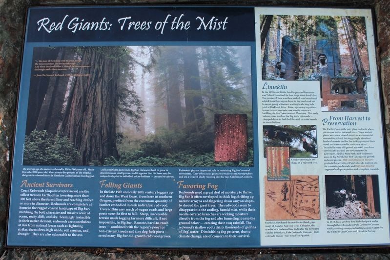 Red Giants: Trees of the Mist Marker image. Click for full size.