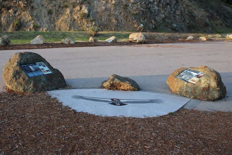 Redwood marker on the left, Condor marker on the right.. Click for full size. Redwood marker on the left, Condor marker on the right. image. Click for full size.