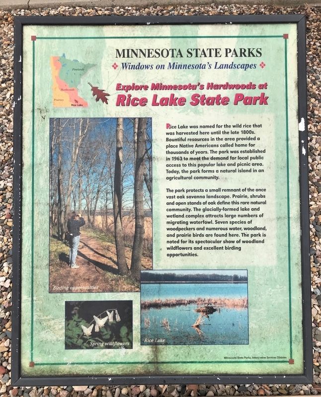 Explore Minnesota's Hardwoods at Rice Lake State Park Marker image. Click for full size.