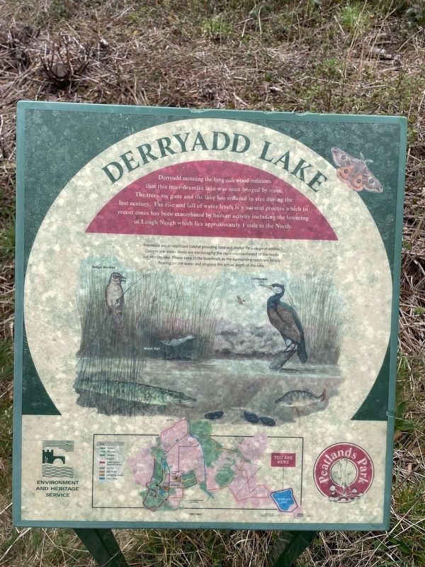 Derryadd Lake Marker image. Click for full size.