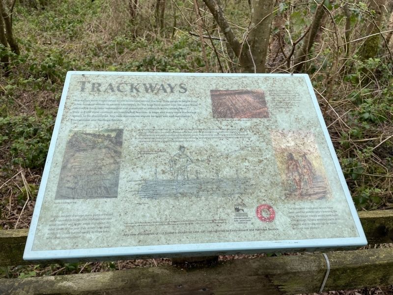 Trackways Marker image. Click for full size.