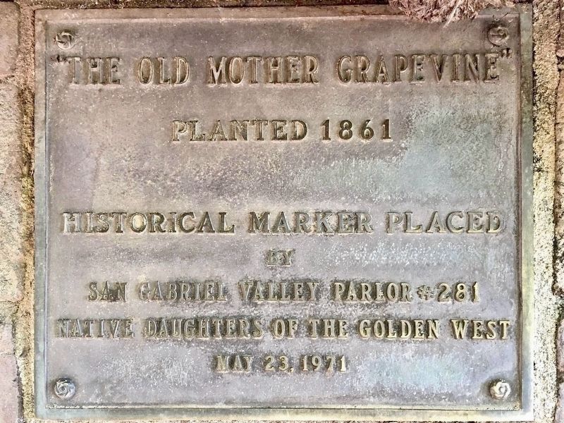 Grapevine Arbor Marker image. Click for full size.