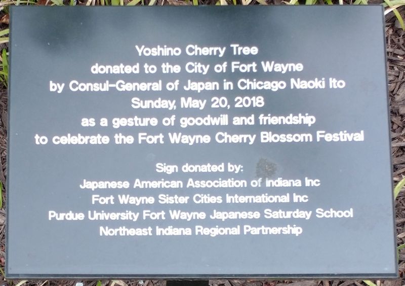 Yoshino Cherry Tree Marker image. Click for full size.