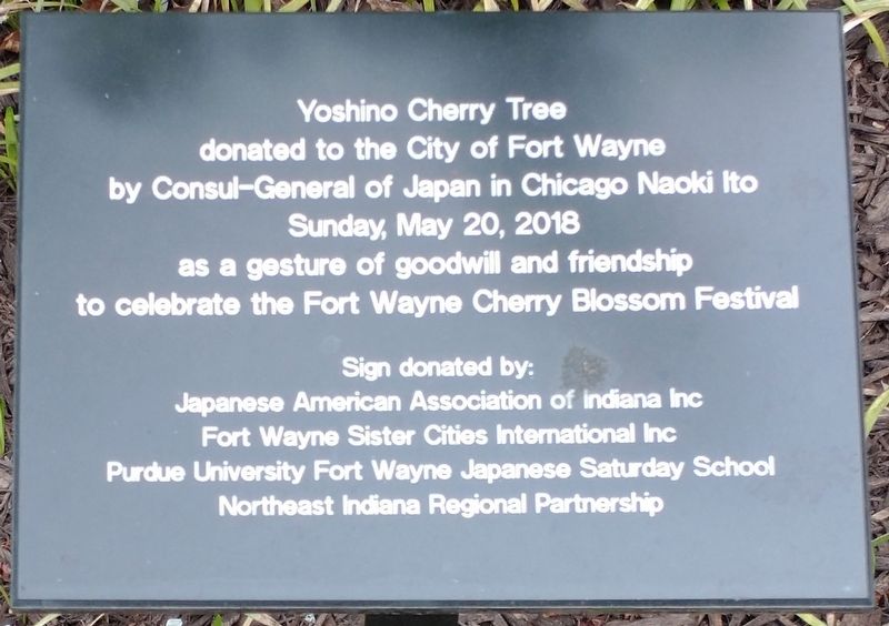 Yoshino Cherry Tree Marker. Click for full size. Yoshino Cherry Tree Marker image. Click for full size.