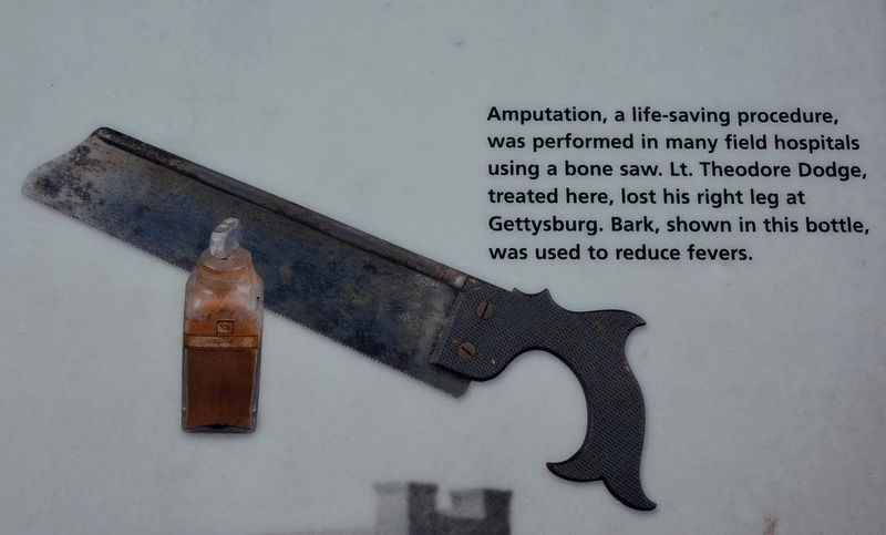 Amputating Saw image. Click for full size.