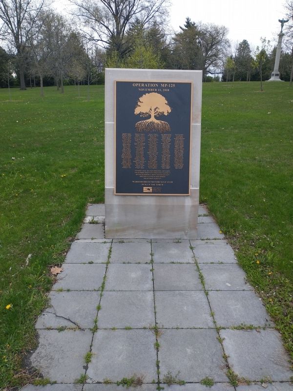 Operation MP-125 Veterans Memorial image. Click for full size.