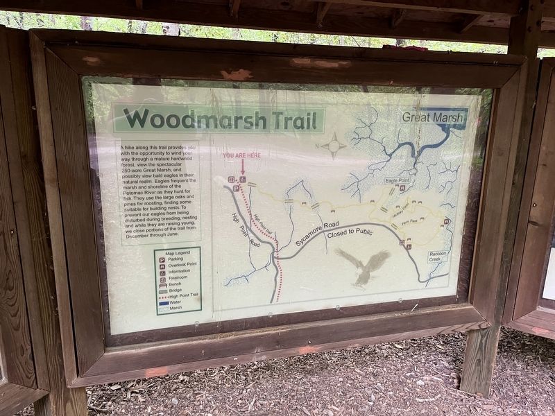 Map for the Woodmarsh Trail image. Click for full size.