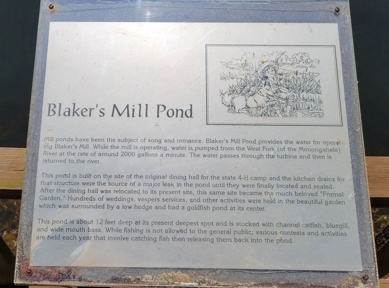 Blaker's Mill Pond Marker image. Click for full size.