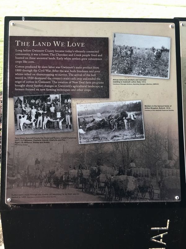 The Land We Love Marker (left panel) image. Click for full size.