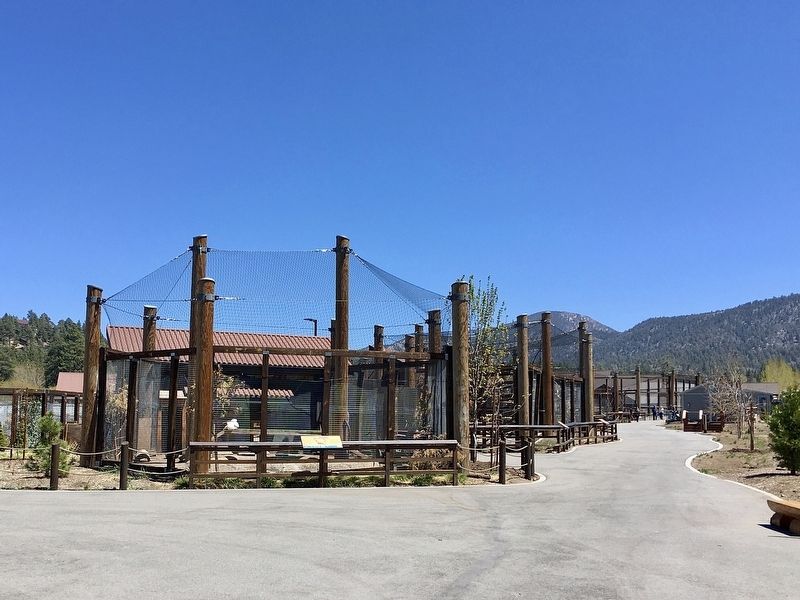 Big Bear Alpine Zoo image. Click for full size.