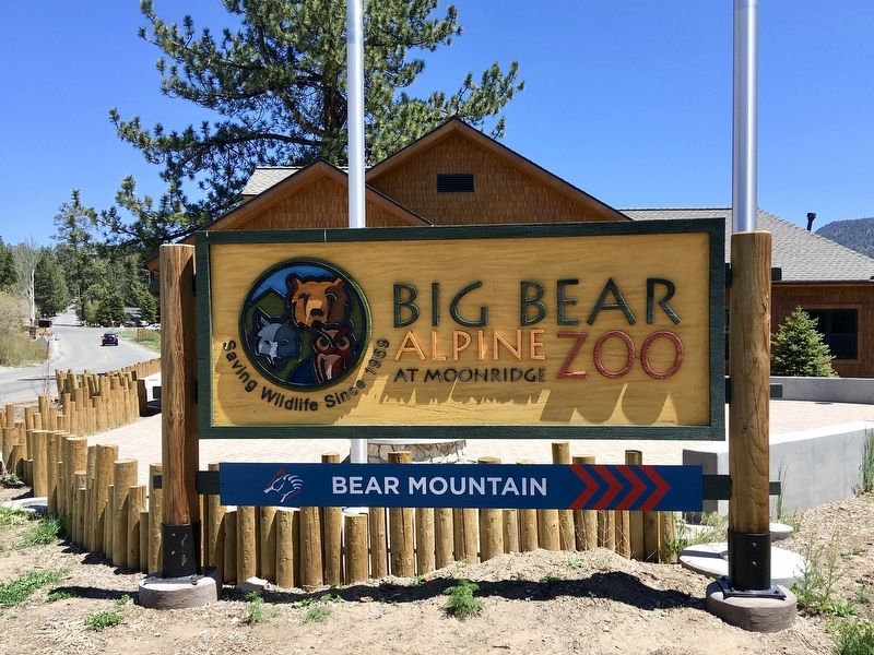 Big Bear Alpine Zoo image. Click for full size.