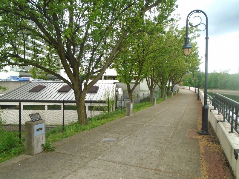 Dr. Martin Luther King, Jr. Memorial Promenade, looking south image. Click for full size.