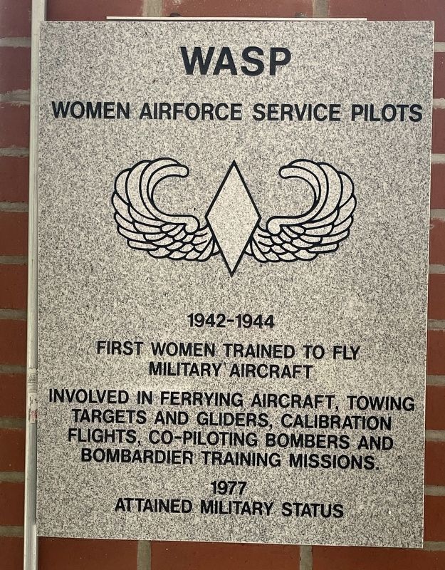 WASP Marker image. Click for full size.
