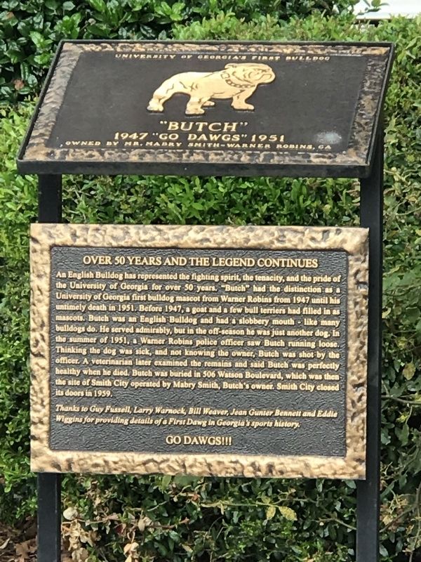"Butch" � University of Georgia's First Bulldog Marker image. Click for full size.