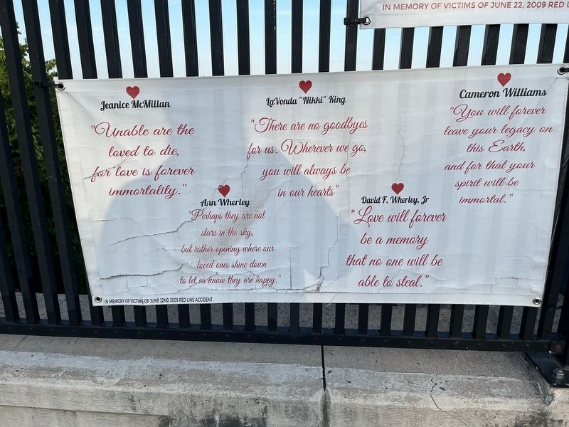 One of the banners along Langley Bridge. Click for full size. One of the banners along Langley Bridge image. Click for full size.