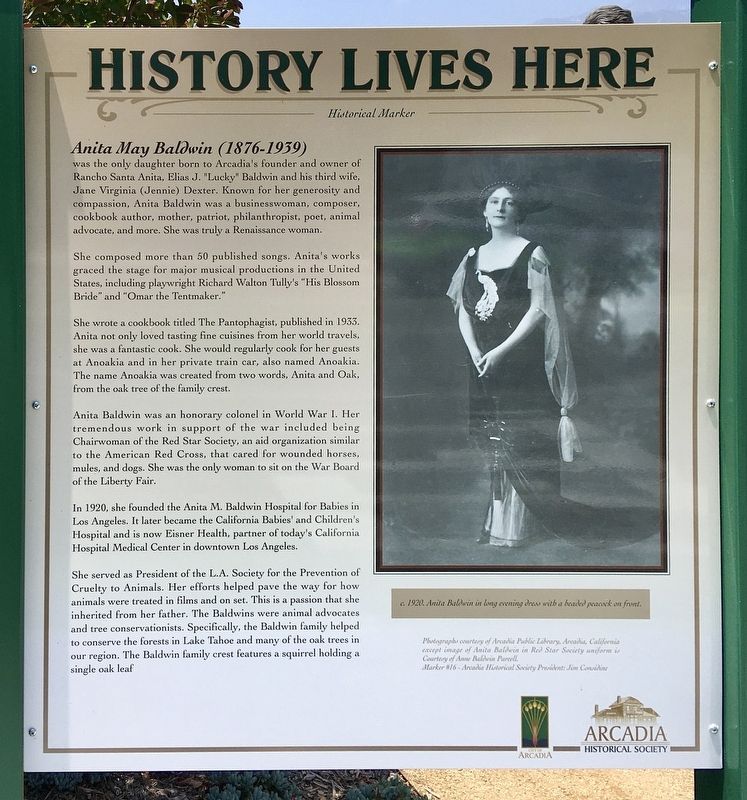 Anita Baldwin Marker image. Click for full size.