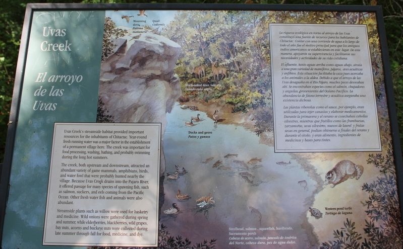 Uvas Creek Marker image. Click for full size.