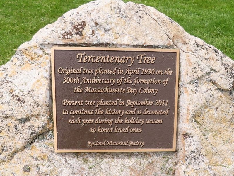 Tercentenary Tree Marker. Click for full size. Tercentenary Tree Marker image. Click for full size.