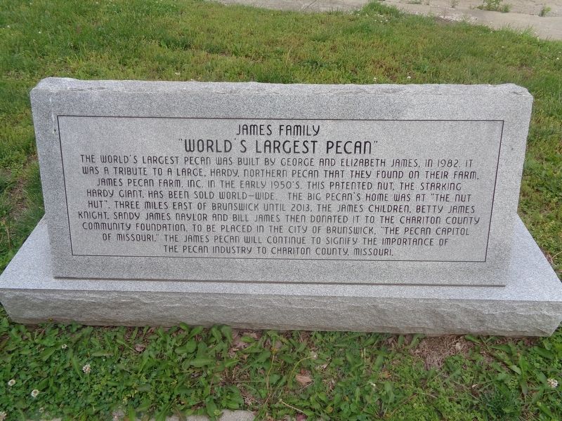 "World's Largest Pecan" Marker image. Click for full size.