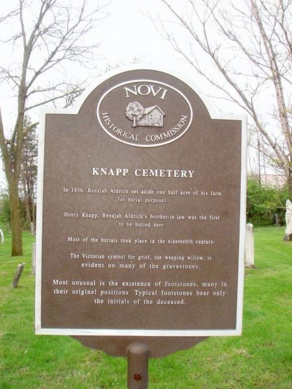 Knapp Cemetery Marker - the previous edition image. Click for full size.