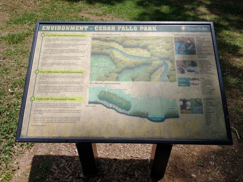 Environment Cedar Falls Park Marker. Click for full size. Environment Cedar Falls Park Marker image. Click for full size.