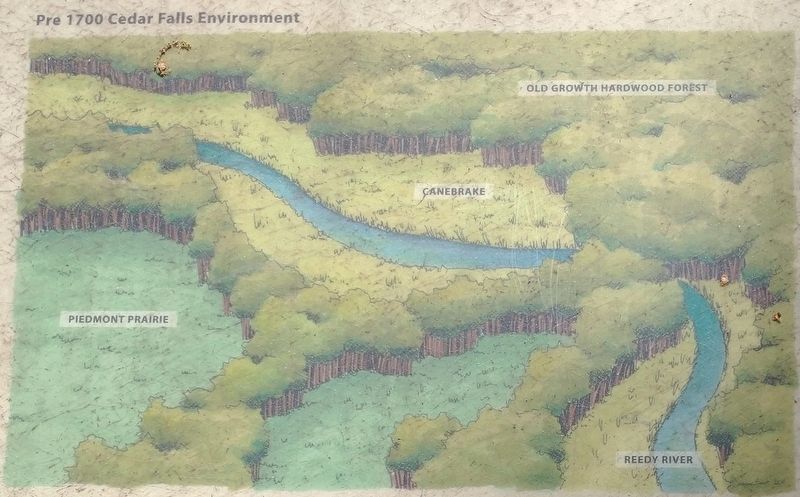 Pre-1700 Cedar Falls Environment image. Click for full size.