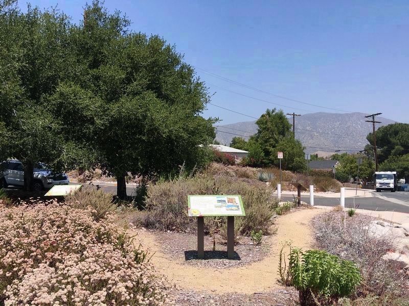 Nature Garden and Markers image. Click for full size.