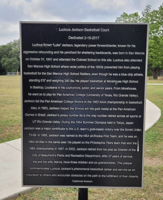 Lucious Jackson Basketball Court Marker image. Click for full size.