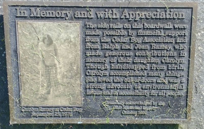 In Memory and with Appreciation Marker image. Click for full size.