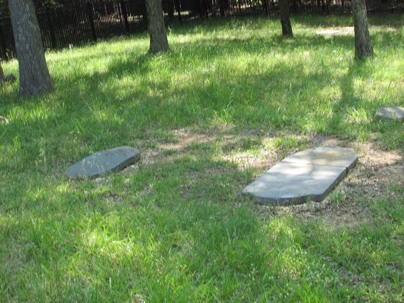 Headstones in the Polk Family Cemetery image. Click for full size.