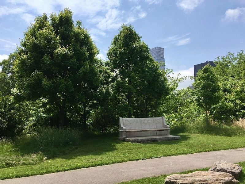 Memorial Bench and Trees. Click for full size. Memorial Bench and Trees image. Click for full size.