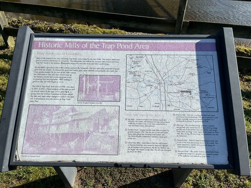 Historic Mills of the Trap Pond Area Marker image. Click for full size.