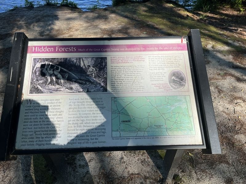Hidden Forests Marker. Click for full size. Hidden Forests Marker image. Click for full size.