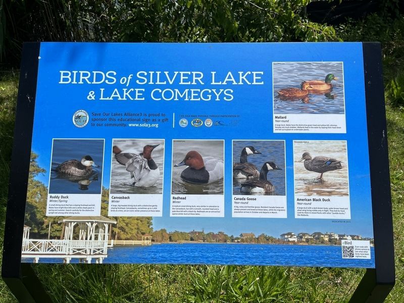 Birds of Silver Lake & Lake Comegys (one of two markers that have been installed nearby) image. Click for full size.