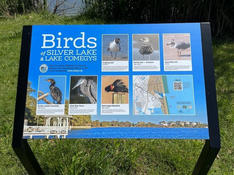 Birds of Silver Lake & Lake Comegys (the other sign installed nearby) image. Click for full size.
