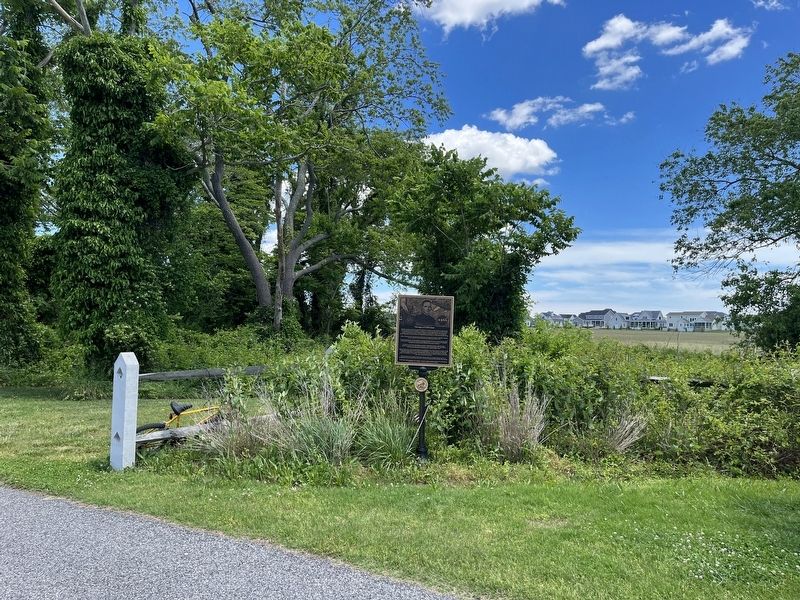 The Legacy of Ted Freeman Marker. Click for full size. The Legacy of Ted Freeman Marker image. Click for full size.