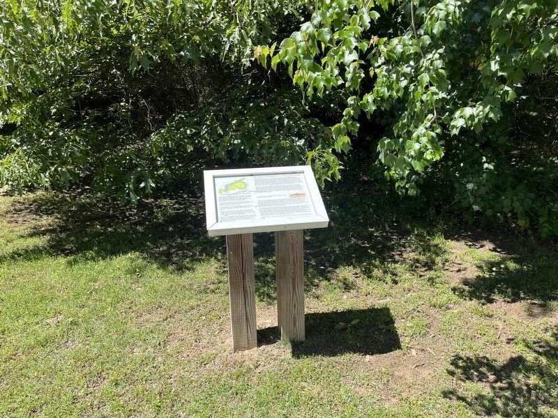 History of Goat Island / Milford Contributes to the War Effort Marker image. Click for full size.