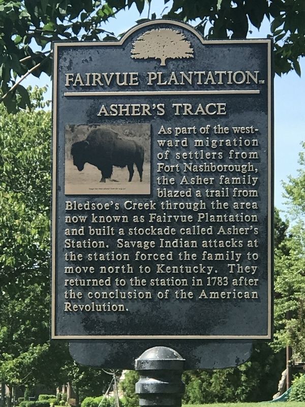 Asher's Trace Marker image. Click for full size.