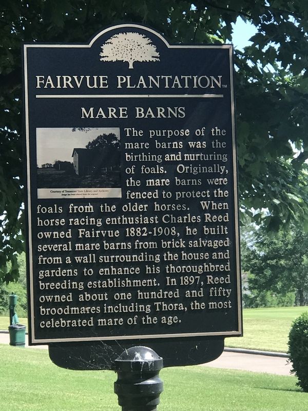 Mare Barns Marker image. Click for full size.